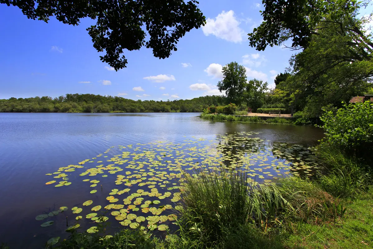 Lac d'Aureilhan