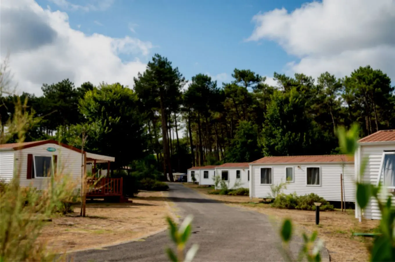 mobilhome_3_chambres_essentiel_7